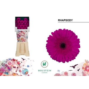 Ge Mi Rhapsody