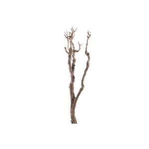 Syringa Branch Super Bizet