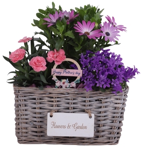 Mothersday Arr. Outdoor Willow Basket Flowersign Ø25cm 3PP