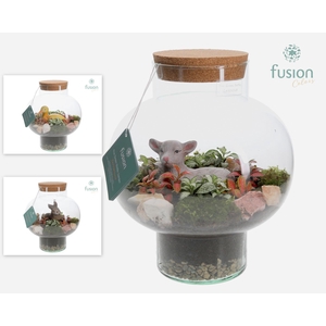 Green Bottle Laura Medium met Passen Terrarium arrangement