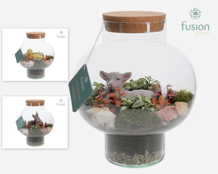 <h4>Green Bottle Laura Medium met Passen Terrarium arrangement</h4>