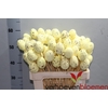 E. EGG YELLOW SPIKKEL 7 CM OP STOK