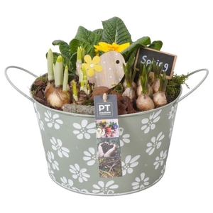 PTBM3058 Arrangementen Tuinplanten