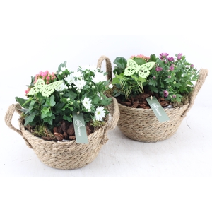 arr4 Outdoor MB - Jute mand 285/4