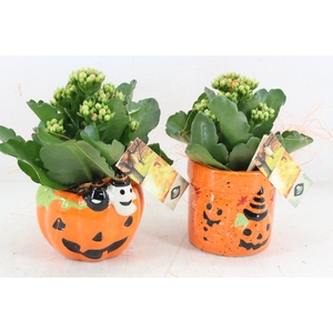 arr2 JS - Ker. halloween potjes mix - oranje