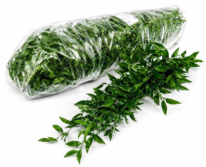 <h4>ŽAL SOFT RUSCUS 70CM</h4>