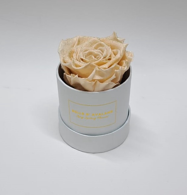 Box rd 8cm glitter wit-champagne
