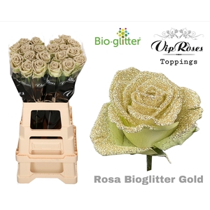 R GR BIO GLITTER GOLD x20