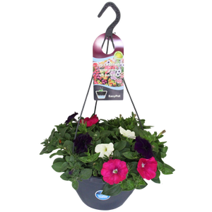 Hangpotten 27 waterreservoir Mix 14 Petunia trio