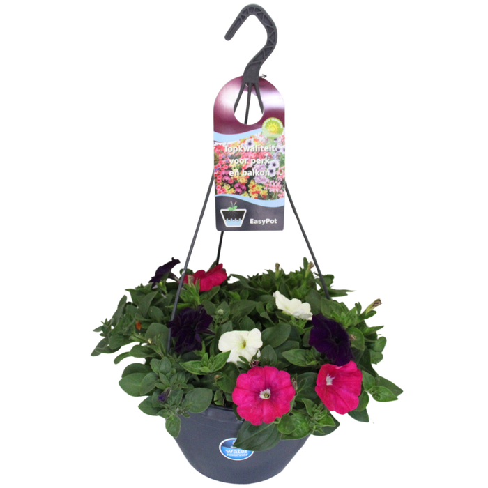 <h4>'Weekaanbieding; Hangpotten 27 waterreservoir Mix 14 Petunia trio</h4>