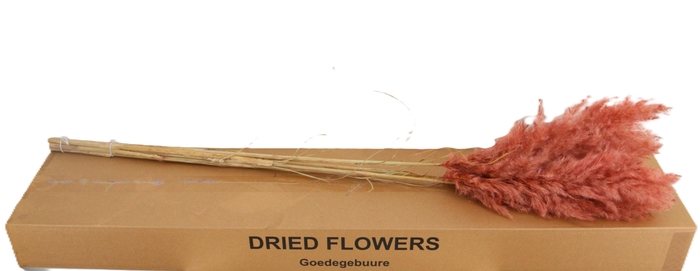 <h4>DROOGBL BEWERKT H%</h4>