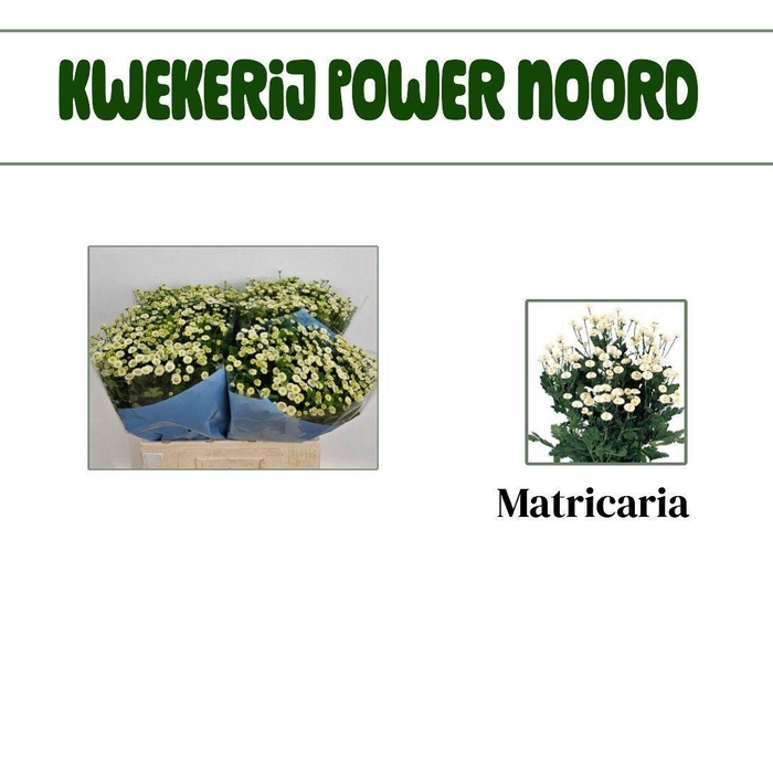 <h4>TANA PA RIO</h4>