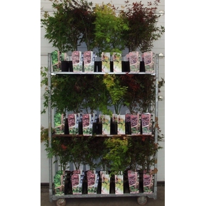 Acer mix-3 P19 Full CC