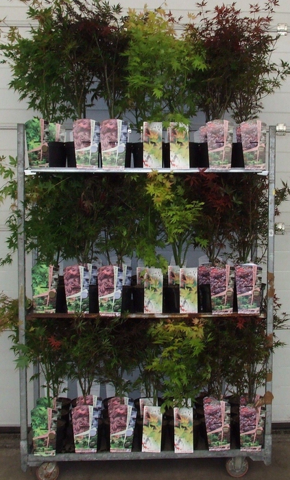 <h4>Acer mix-3 P19 Full CC</h4>