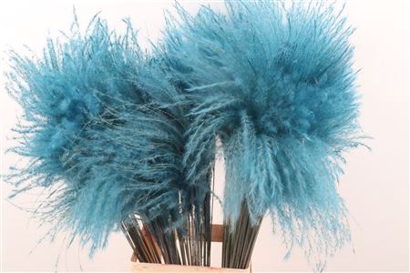 ZD STIPA FEATHER LBLUE