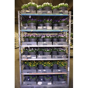 arr8 Vio Co Mixk 6kl 1 Kleur Per Fust