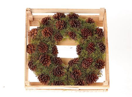 <h4>Wreath Pinecone Moss D40</h4>