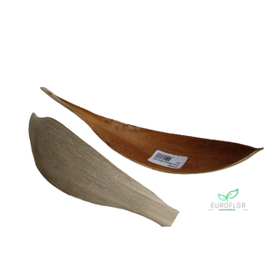 COCO MEDIUM GEBLEEKT PER STUK