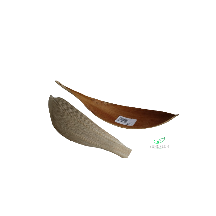 <h4>COCO MEDIUM GEBLEEKT PER STUK</h4>