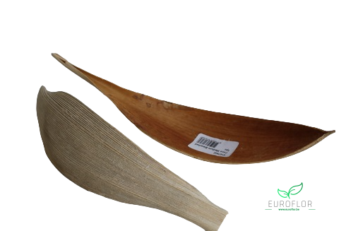 COCO MEDIUM GEBLEEKT PER STUK