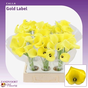 ZANT GOLD LABEL