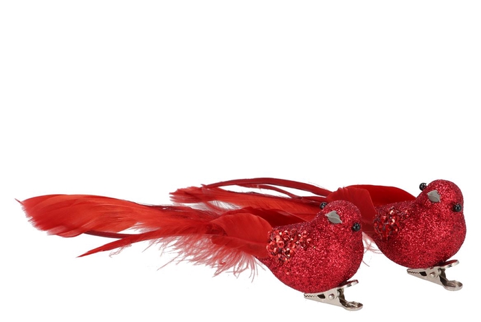Deco Shine Bird Clip Jolly Red 16cm Per 2