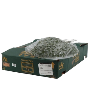 Lederv. Large Vacuum