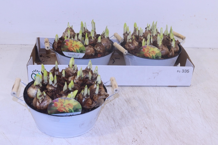 <h4>ARR N TETE A TETE</h4>