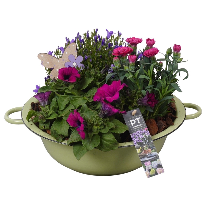 <h4>Arr.   Perkplanten L%</h4>
