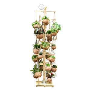 Kokodama Tree Large INCLUDING 48 best selling Kokodama's