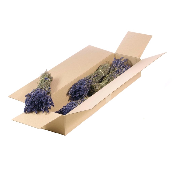 <h4>Lavender 70-80gr Sb Extra Natural Blue</h4>