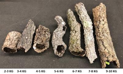 <h4>KURK TUBE 5-6 KG</h4>