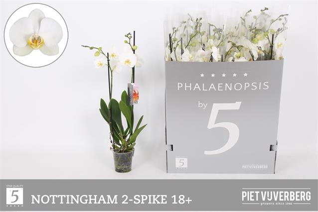 PHAL AN NOTTINGHAM