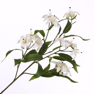 Lilium Spray White