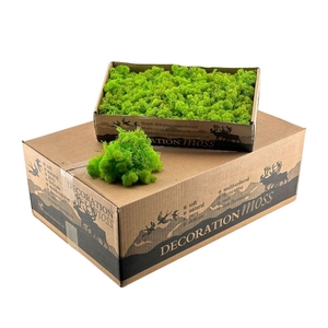 Ijslandsmos Grass Green Light