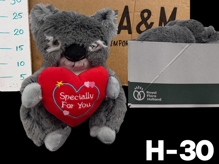 <h4>HUIS EN TUINDECO H%</h4>