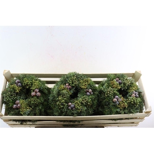 Wr Advent Naturel 30cm ( Anttar )