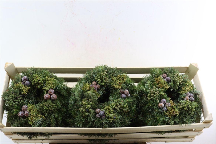 <h4>Wr Advent Naturel 30cm ( Anttar )</h4>