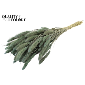 Setaria per bunch Frosted Light Blue