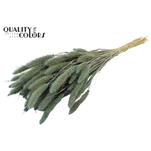 Setaria per bunch Frosted Light Blue
