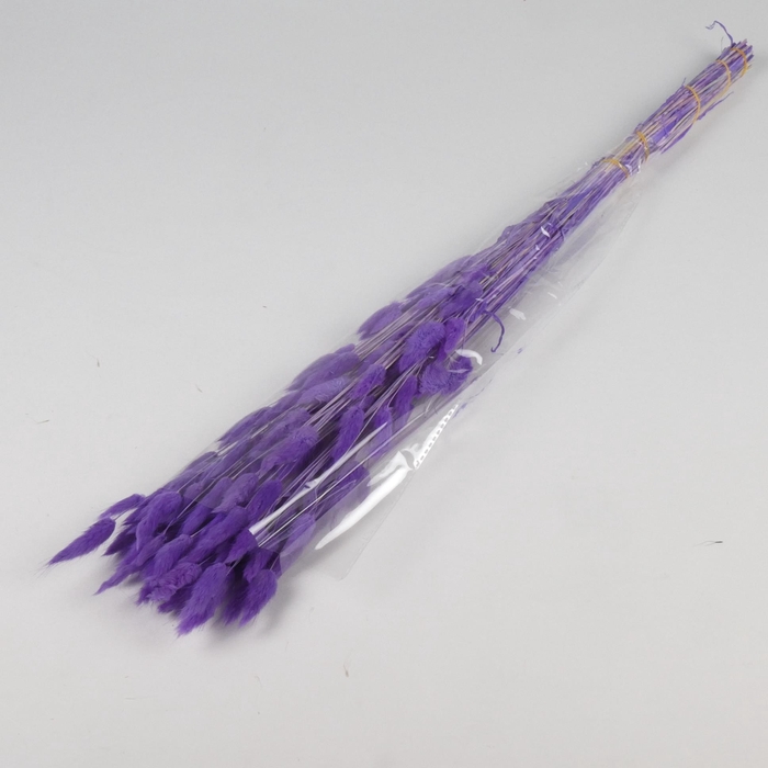 DF Lagurus Bs 50g/70cm Milka