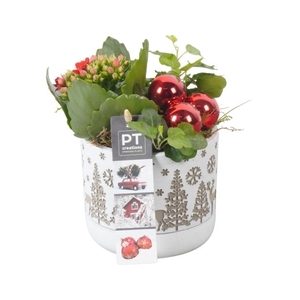 PTKB9393 Arrangement Kerst in beton pot