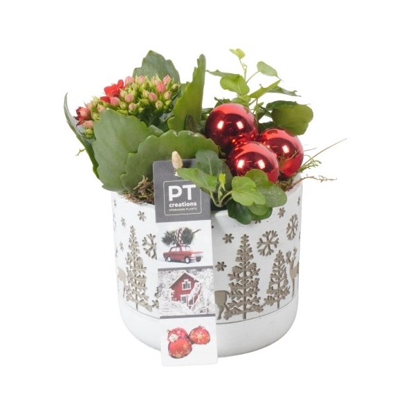 <h4>PTKB9393 Arrangement Kerst in beton pot</h4>