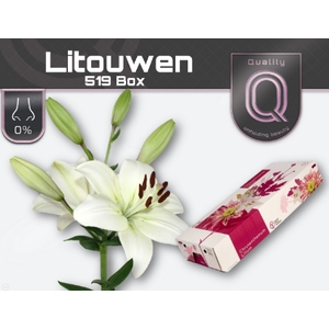 LI LA LITOUWEN 520 BOX 4+