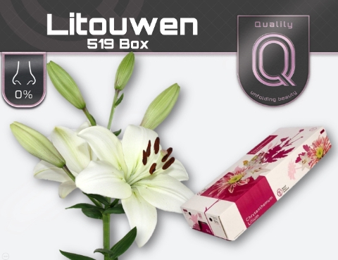 LI LA LITOUWEN 520 BOX 4+